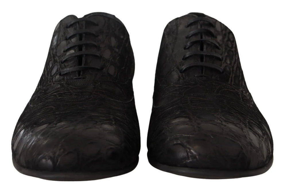 Dolce & Gabbana Black Caiman Leather Mens Oxford Shoes - EU44/US11