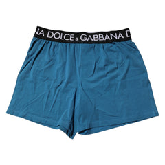 Dolce & Gabbana Blue Logo Waist Regular Boxer Shorts Underwear - IT4 | S