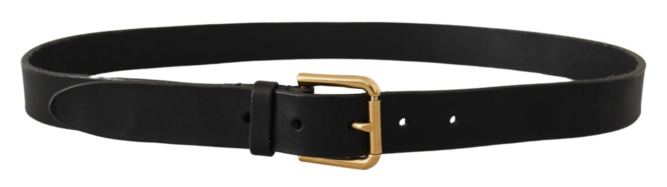 Dolce & Gabbana Brown Classic Leather Gold Metal Buckle Belt - 95 cm / 38 Inches - Belts