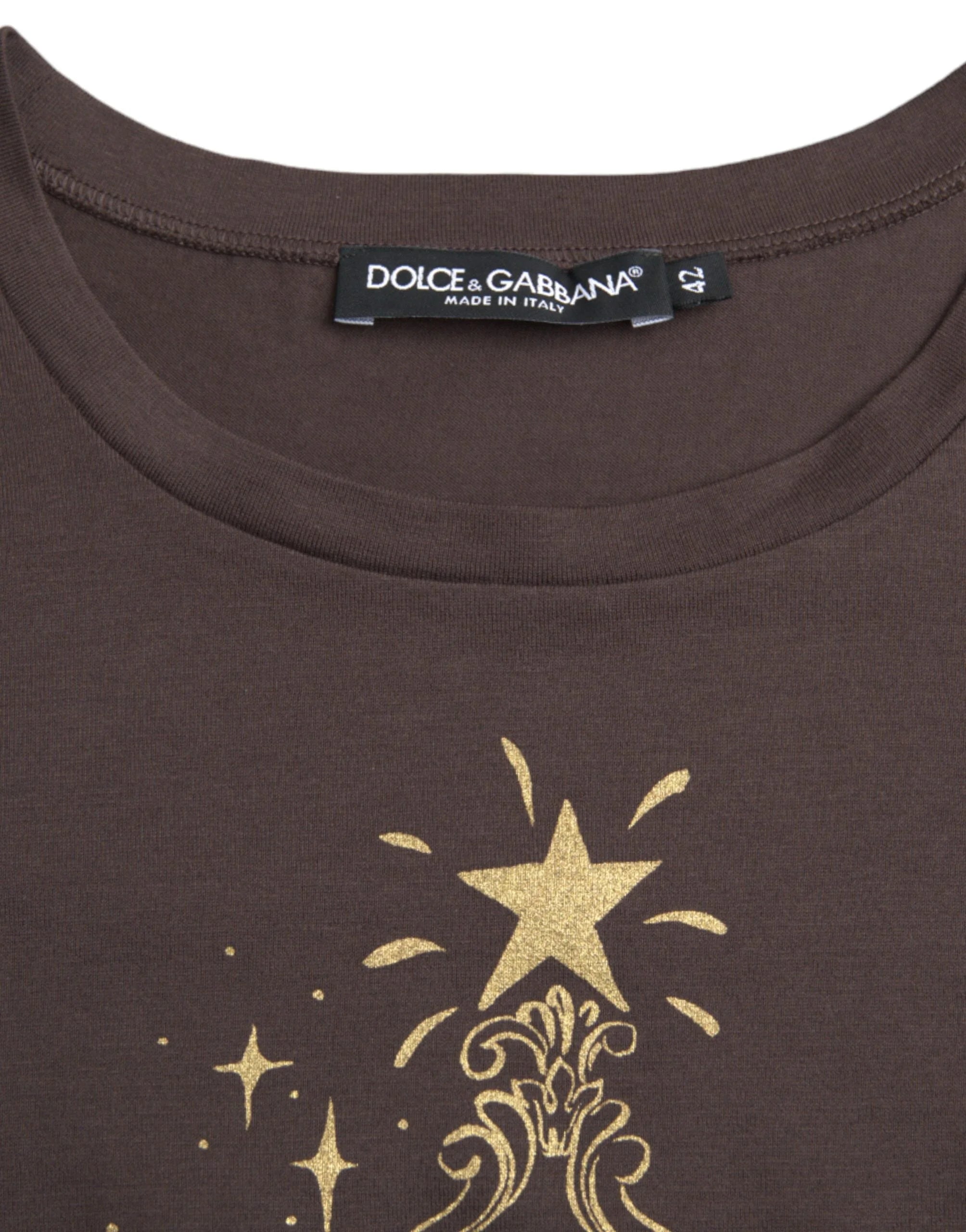 Dolce & Gabbana Brown Crewneck 2017 Motive Print T-shirt - IT42|M - T-Shirts