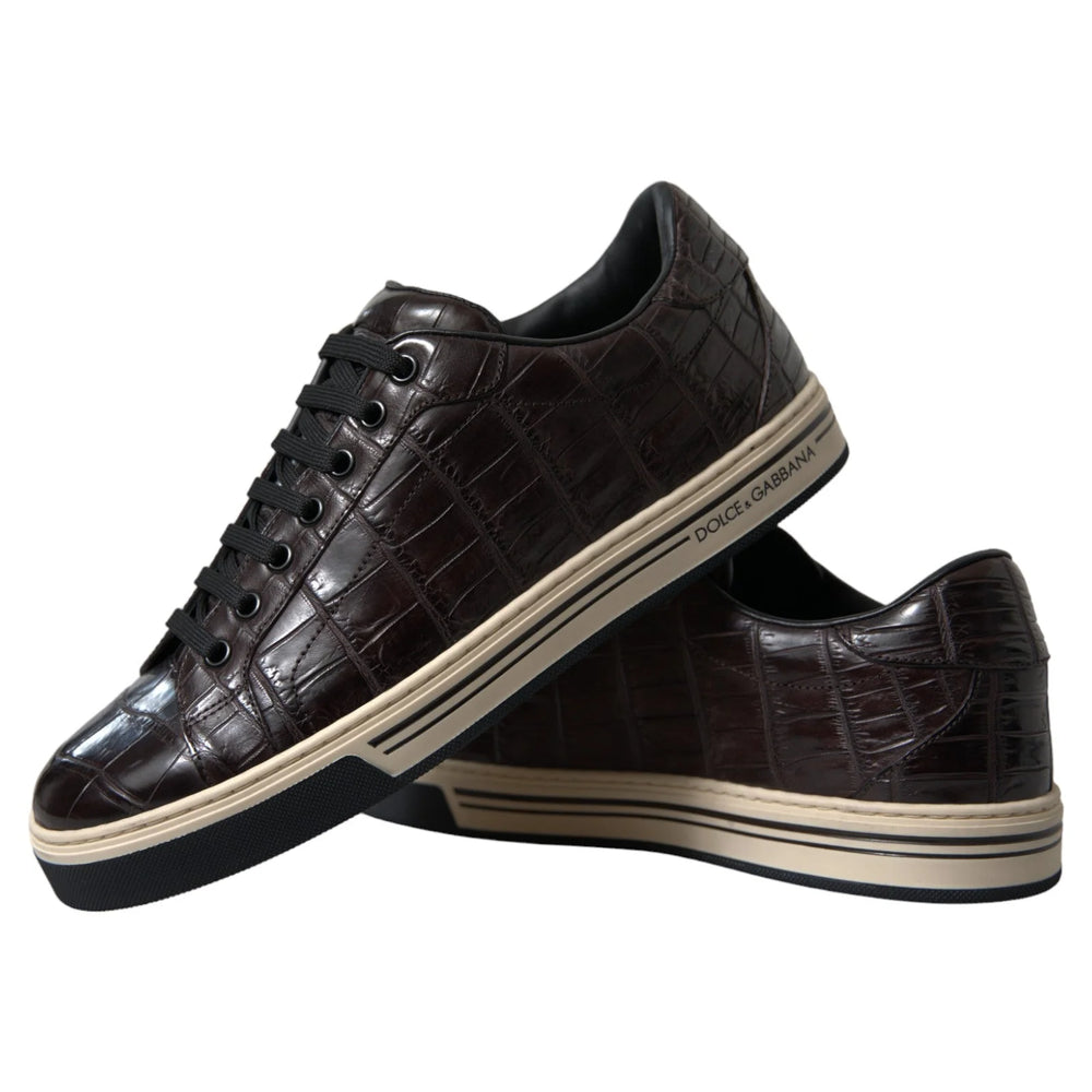 Dolce & Gabbana Brown Croc Exotic Leather Men Casual Sneakers Shoes - EU39/US6