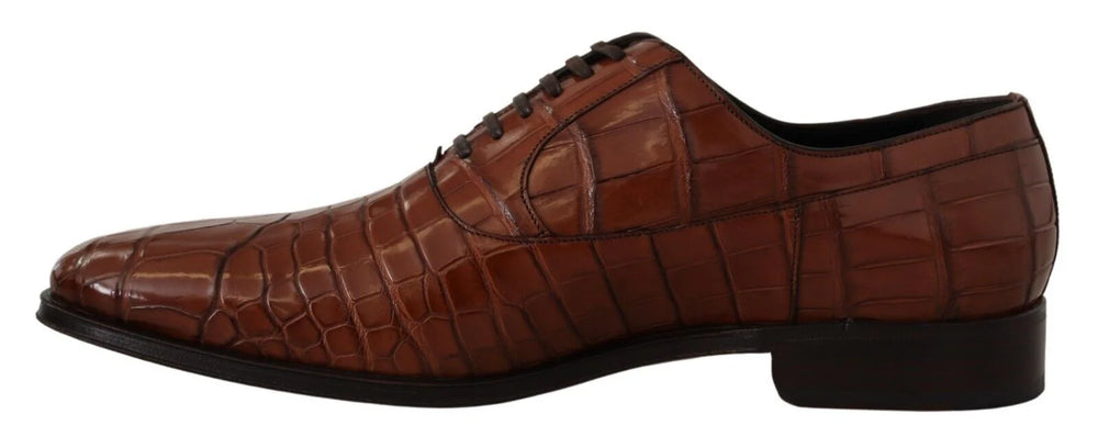 Dolce & Gabbana Brown Crocodile Leather Mens Formal Derby Shoes - EU44/US11