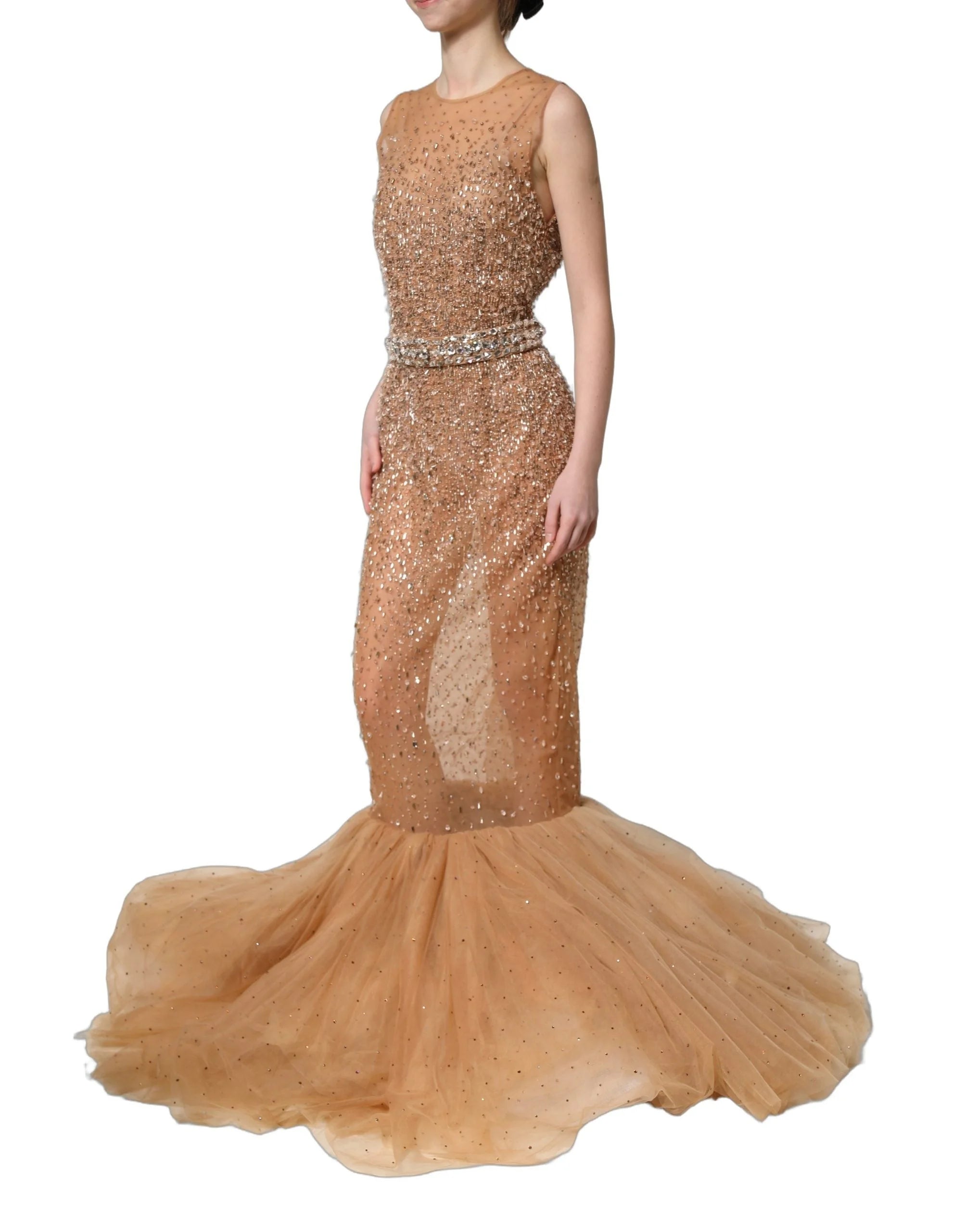 Dolce & Gabbana Brown Crystal Embellished Mermaid Gown Dress - IT40|S