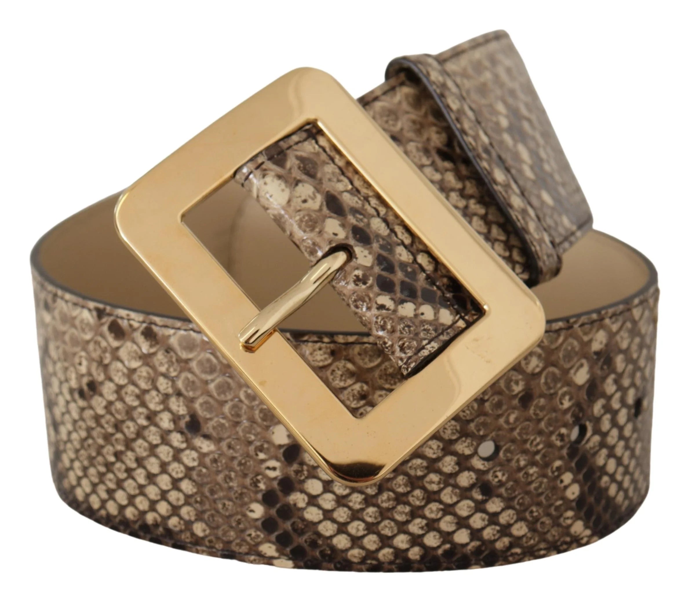 Dolce & Gabbana Brown Exotic Wide Waist Leather Gold Metal Buckle Belt - 65 cm / 26 Inches