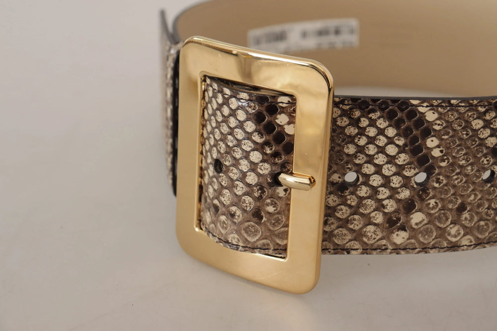 Dolce & Gabbana Brown Exotic Wide Waist Leather Gold Metal Buckle Belt - 65 cm / 26 Inches - Belts
