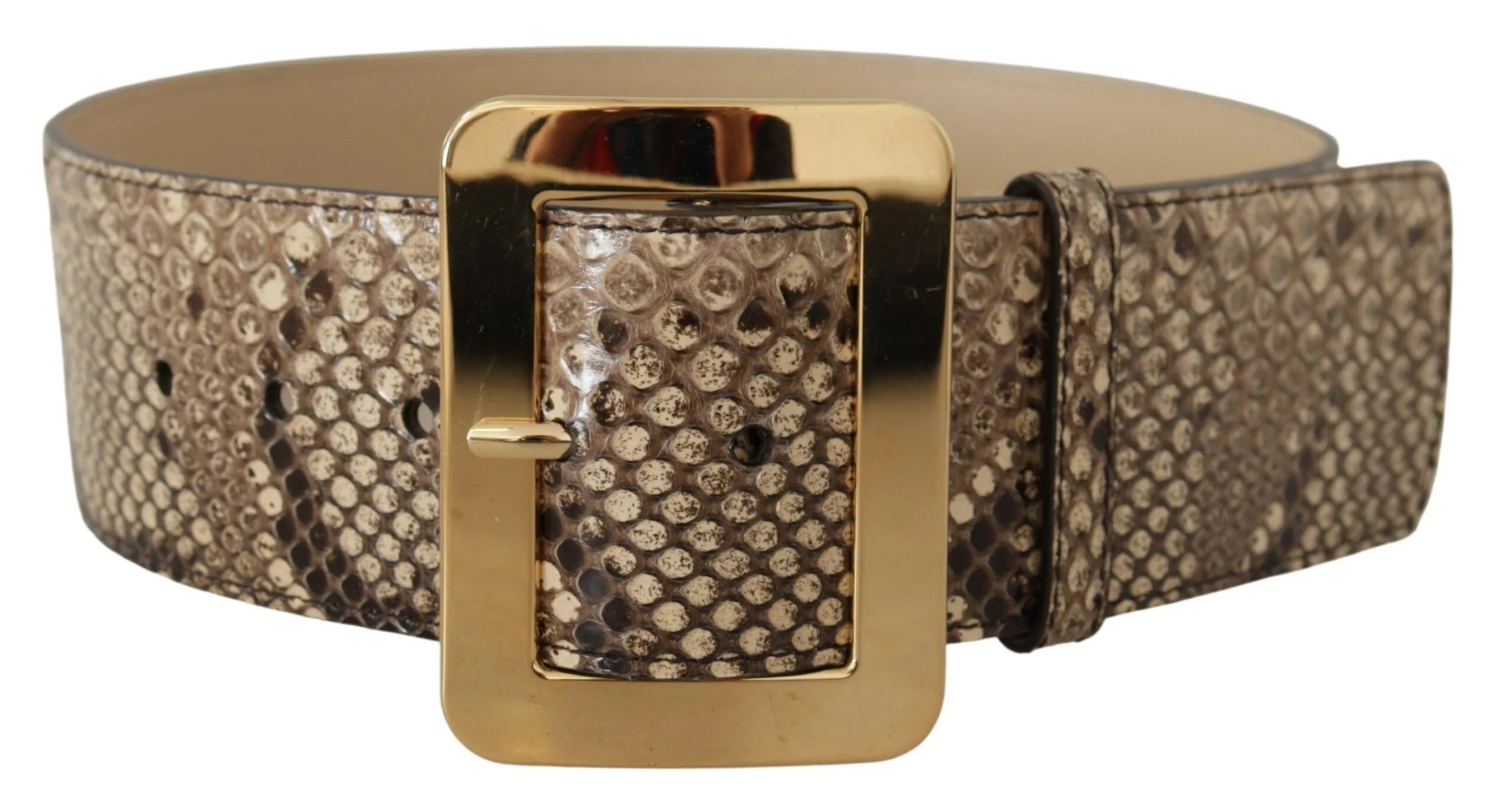 Dolce & Gabbana Brown Exotic Wide Waist Leather Gold Metal Buckle Belt - 65 cm / 26 Inches - Belts