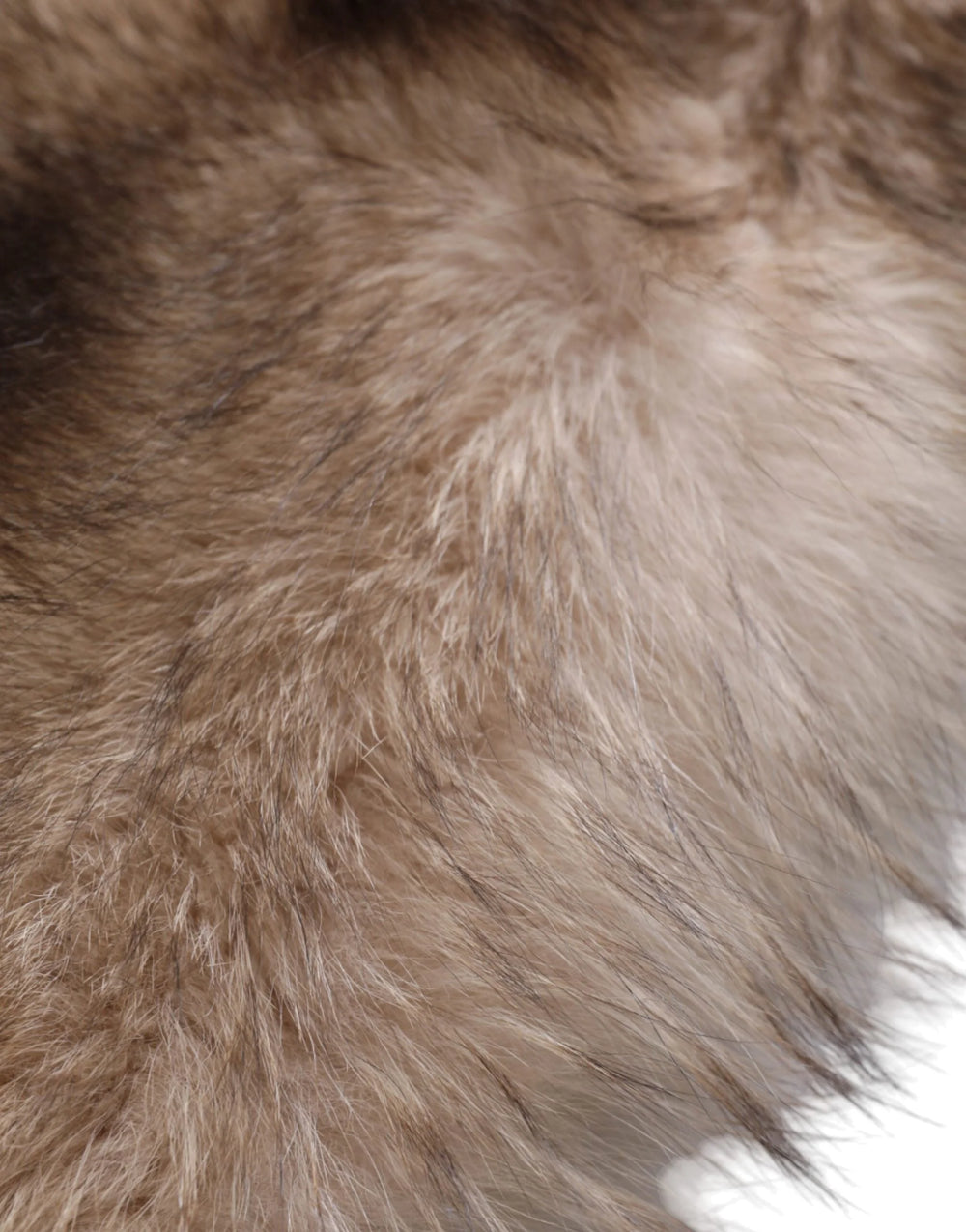 Dolce & Gabbana Brown Frost Fox Fur Neck Warmer Winter Scarf - Scarves & Shawls