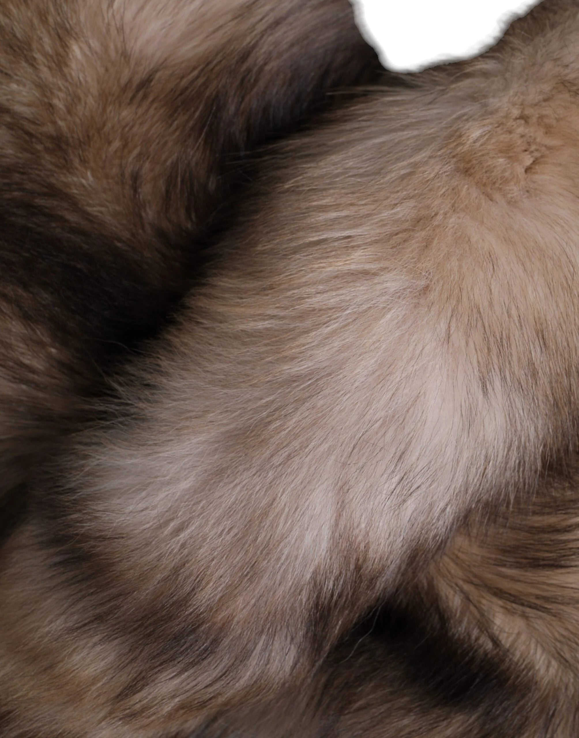 Dolce & Gabbana Brown Frost Fox Fur Neck Warmer Winter Scarf - Scarves & Shawls