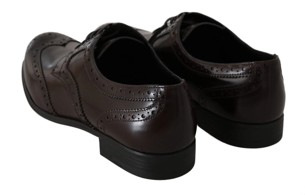 Dolce & Gabbana Brown Leather Broques Oxford Wingtip Shoes - Flats