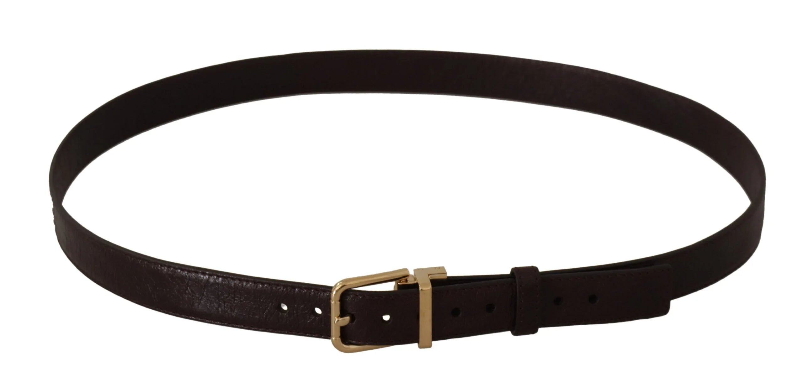 Dolce & Gabbana Brown Leather Gold Metal Buckle Belt - 95 cm / 38 Inches - Belts