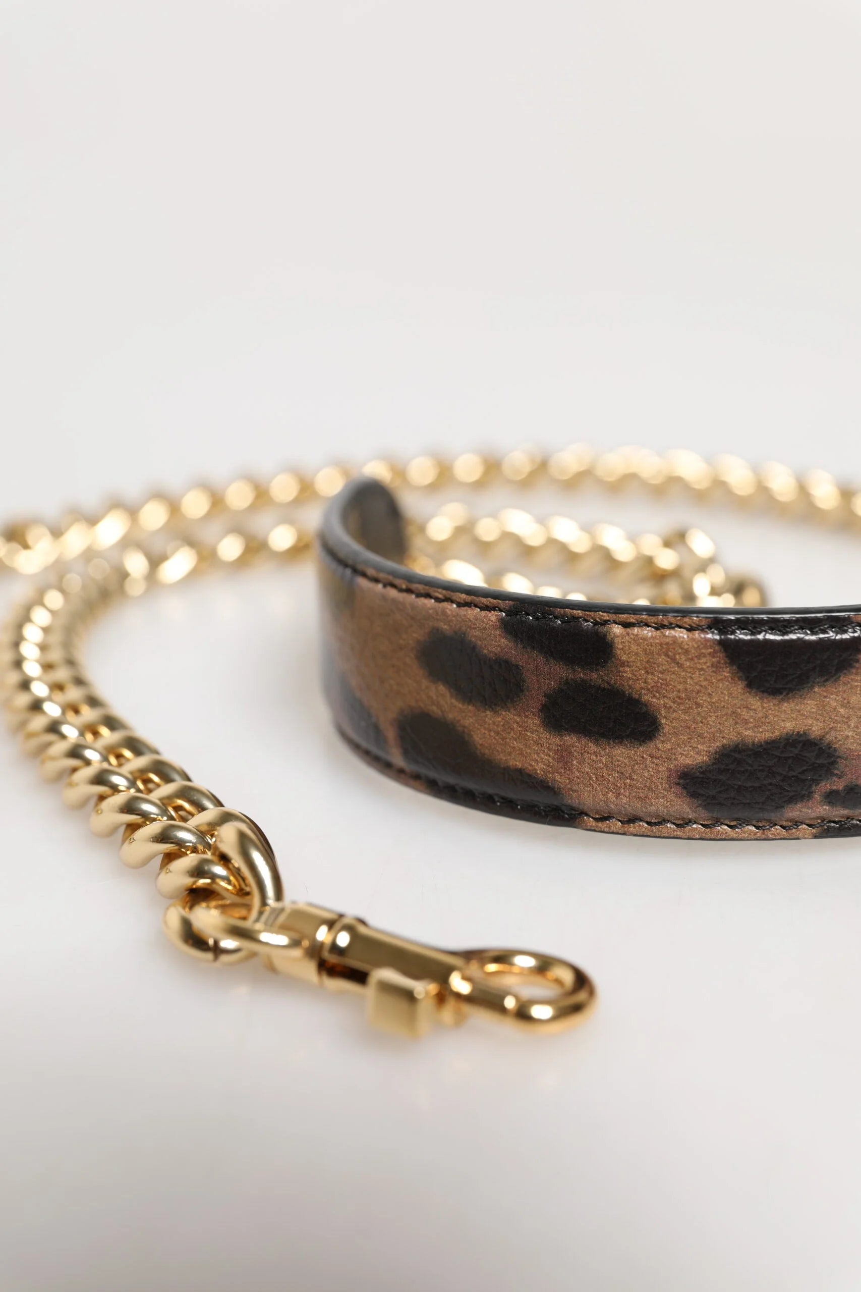 Vista completa da correia de leopardo e corrente Dolce & Gabbana, mostrando o fabrico em 70% pele de bezerro.