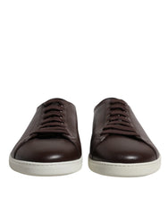 Dolce & Gabbana Brown Low Top Men Saint Tropez Sneakers Shoes - EU41/US8 - Sneakers