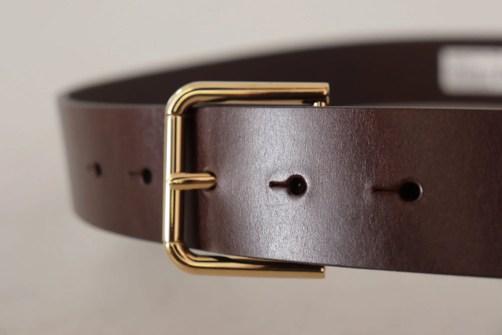 Dolce & Gabbana Brown Plain Calf Leather Gold Tone Buckle Belt - 90 cm / 36 Inches - Belts