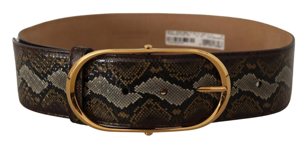 Dolce & Gabbana Brown Python Leather Gold Oval Buckle Belt - 80 cm / 32 Inches - Belts