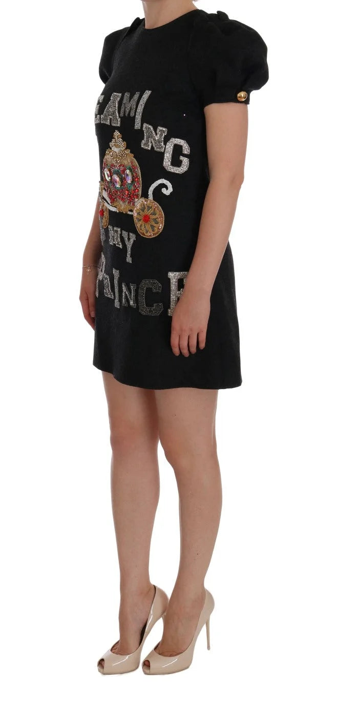 Dolce & Gabbana Gray Crystal ’Dreaming of My Prince’ Dress - IT36 | XS - Dresses