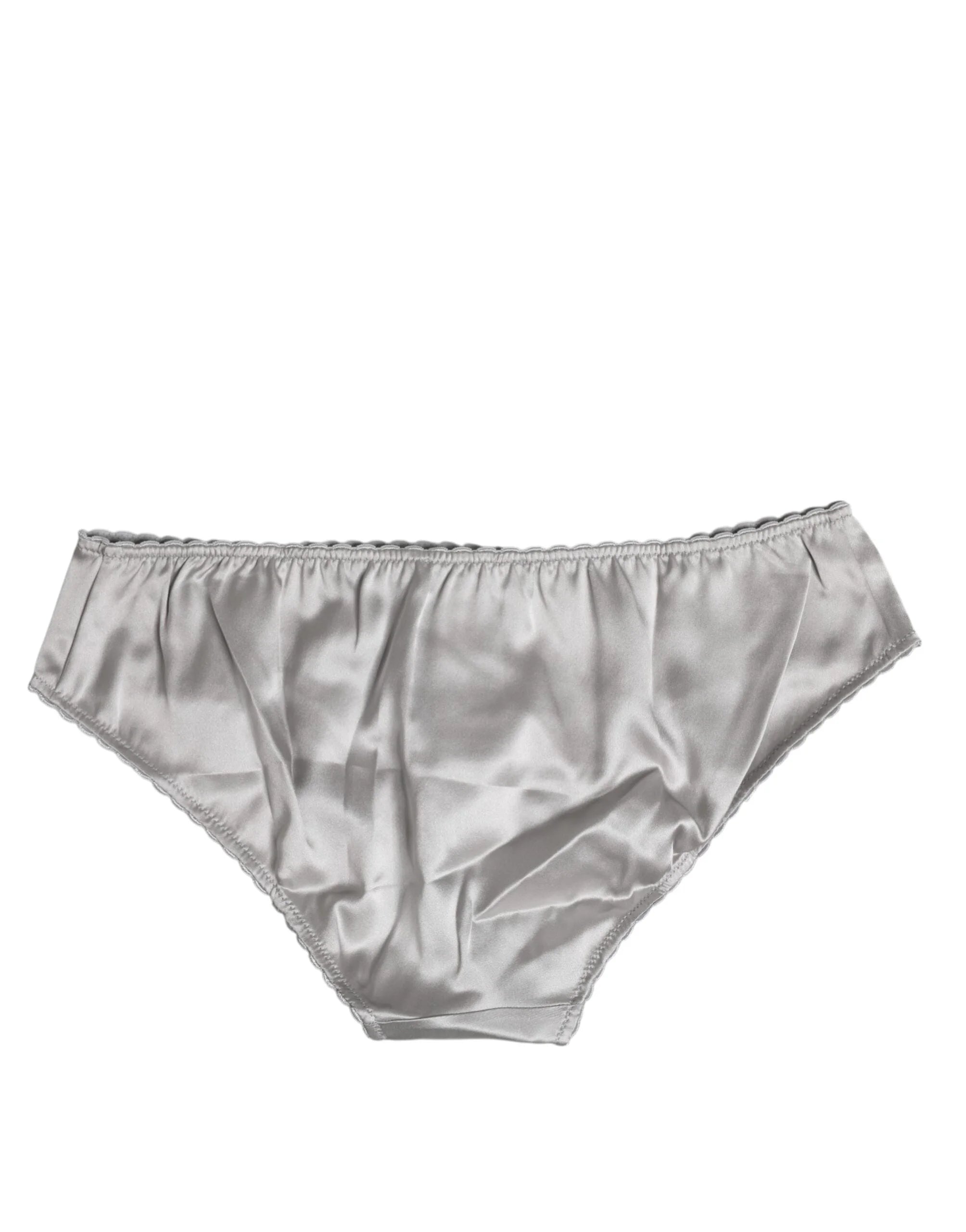 Dolce & Gabbana Gray Silk Stretch Bottom Low Waist Panty Underwear - IT2 | S - Briefs