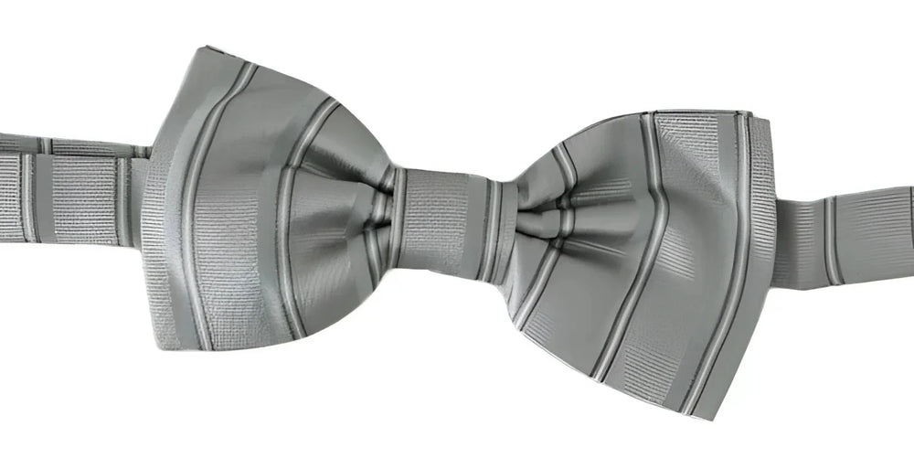 Dolce & Gabbana Light Gray Lining Adjustable Neck Butterfly Bow Tie - Neckties