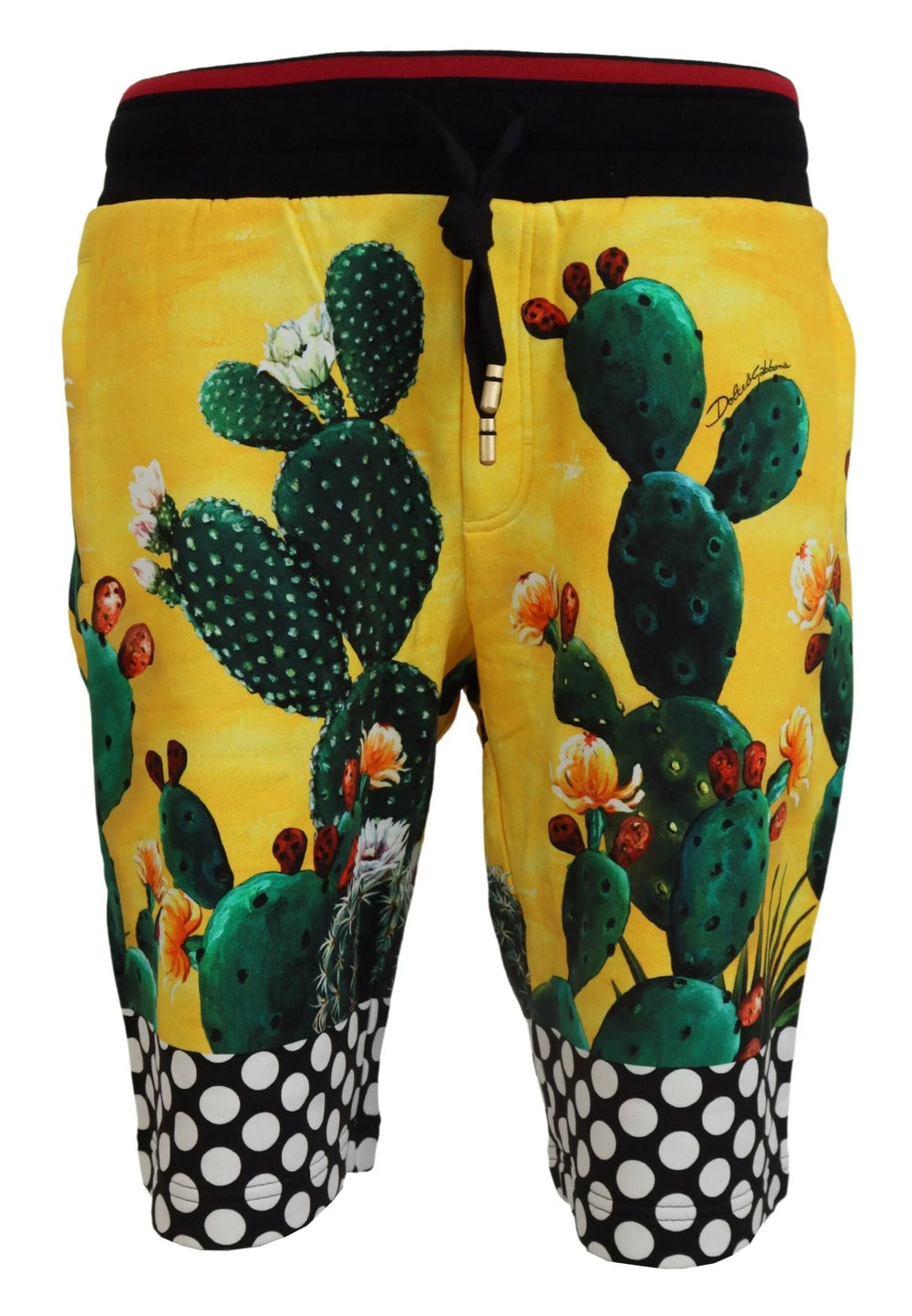 Dolce & Gabbana Multicolor Cactus Print Cotton Sweat Shorts - IT44 | XS - Jogger Shorts