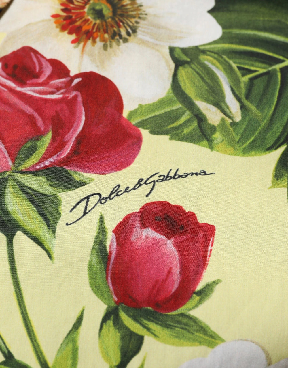 Dolce & Gabbana Camisa con Cuello Estampada Floral Multicolor y Animal