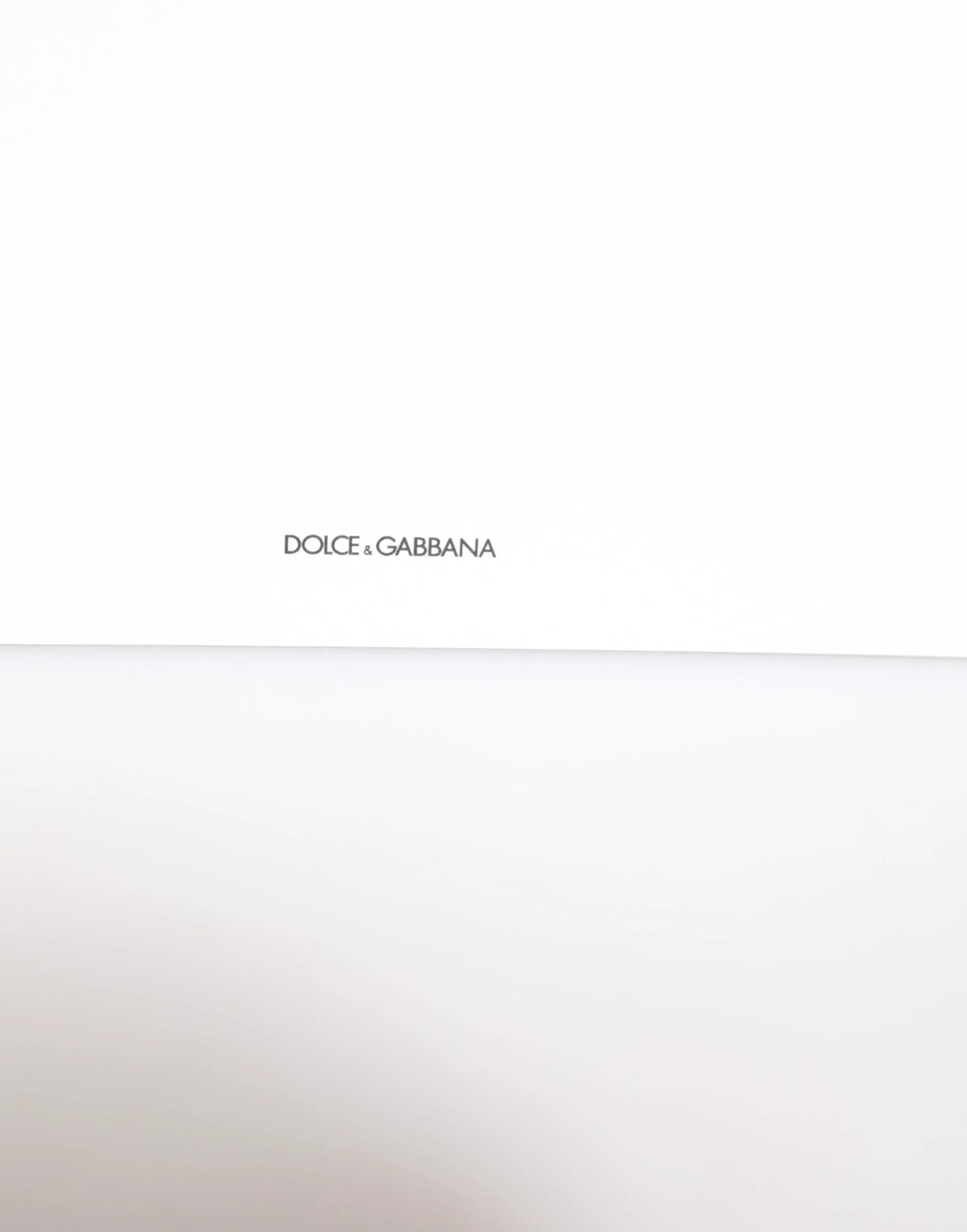 Dolce & Gabbana Multicolor Leopard Print Envelope Paper Post Card Holder - Desktop Organizers