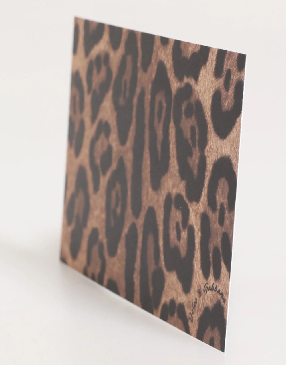 Dolce & Gabbana Multicolor Leopard Print Envelope Paper Post Card Holder - Desktop Organizers