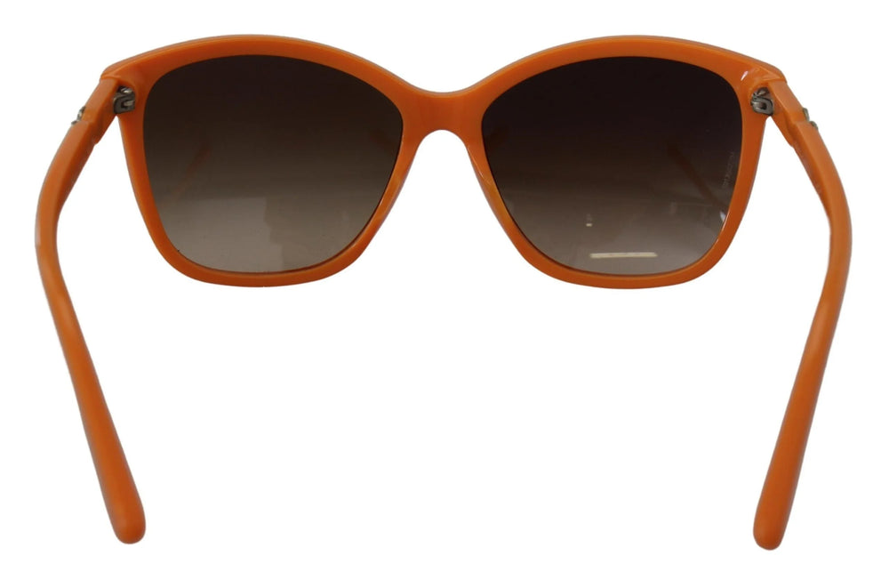 Dolce & Gabbana Orange Acetate Frame Round Shades DG4170PM Sunglasses - Sunglasses
