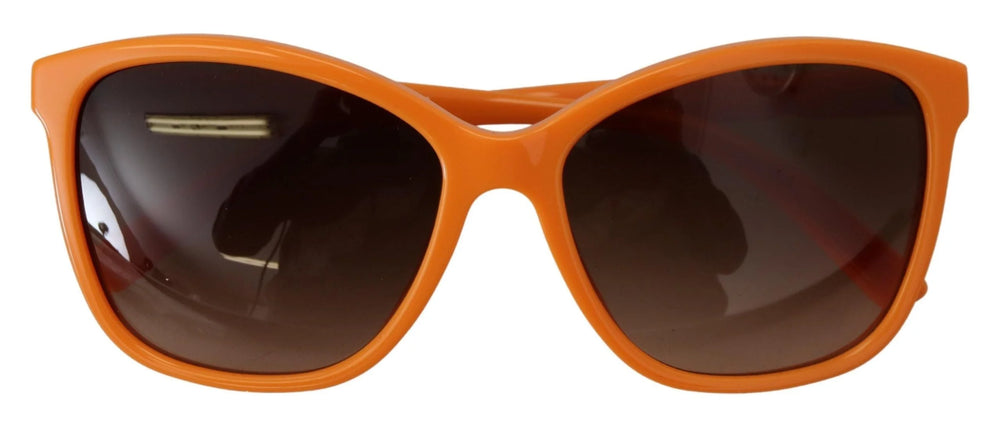 Dolce & Gabbana Orange Acetate Frame Round Shades DG4170PM Sunglasses - Sunglasses