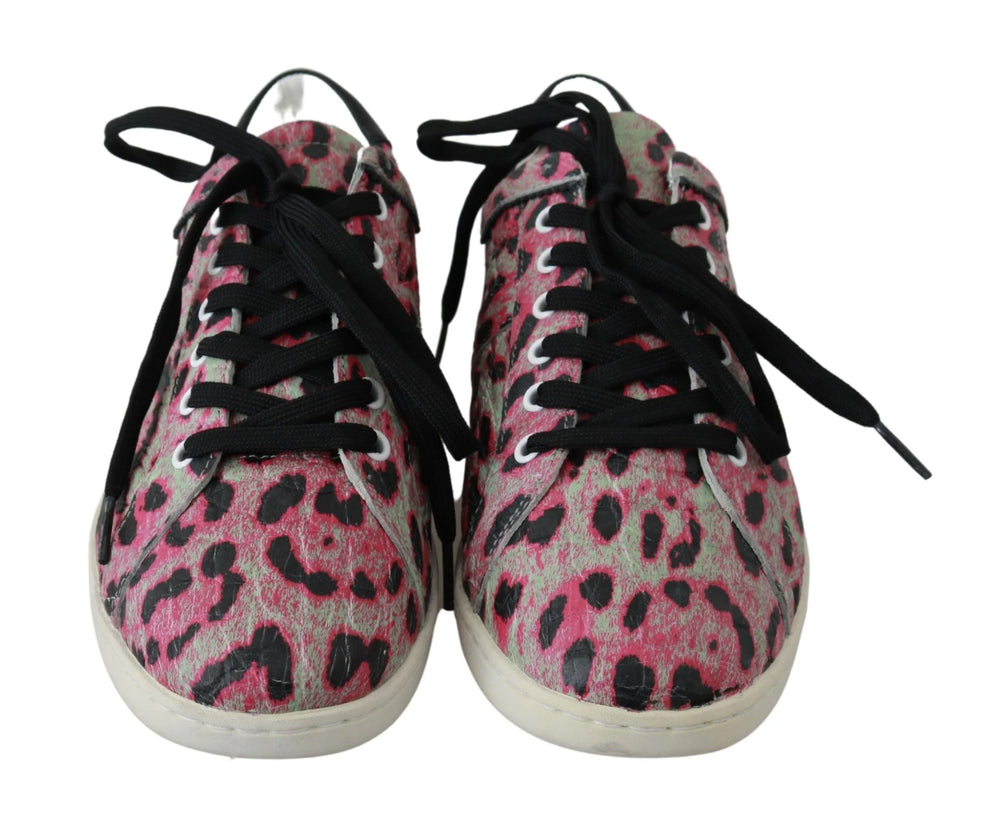 Dolce & Gabbana Pink Leopard Print Training Leather Flat Sneakers - EU42/US9