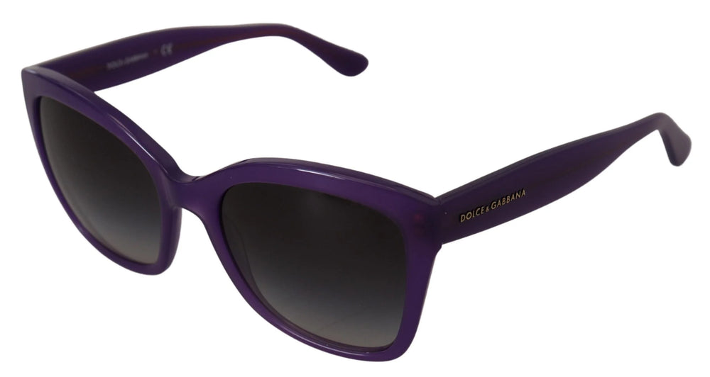 Dolce & Gabbana Purple Acetate Square Full Rim DG4240 Sunglasses - Sunglasses