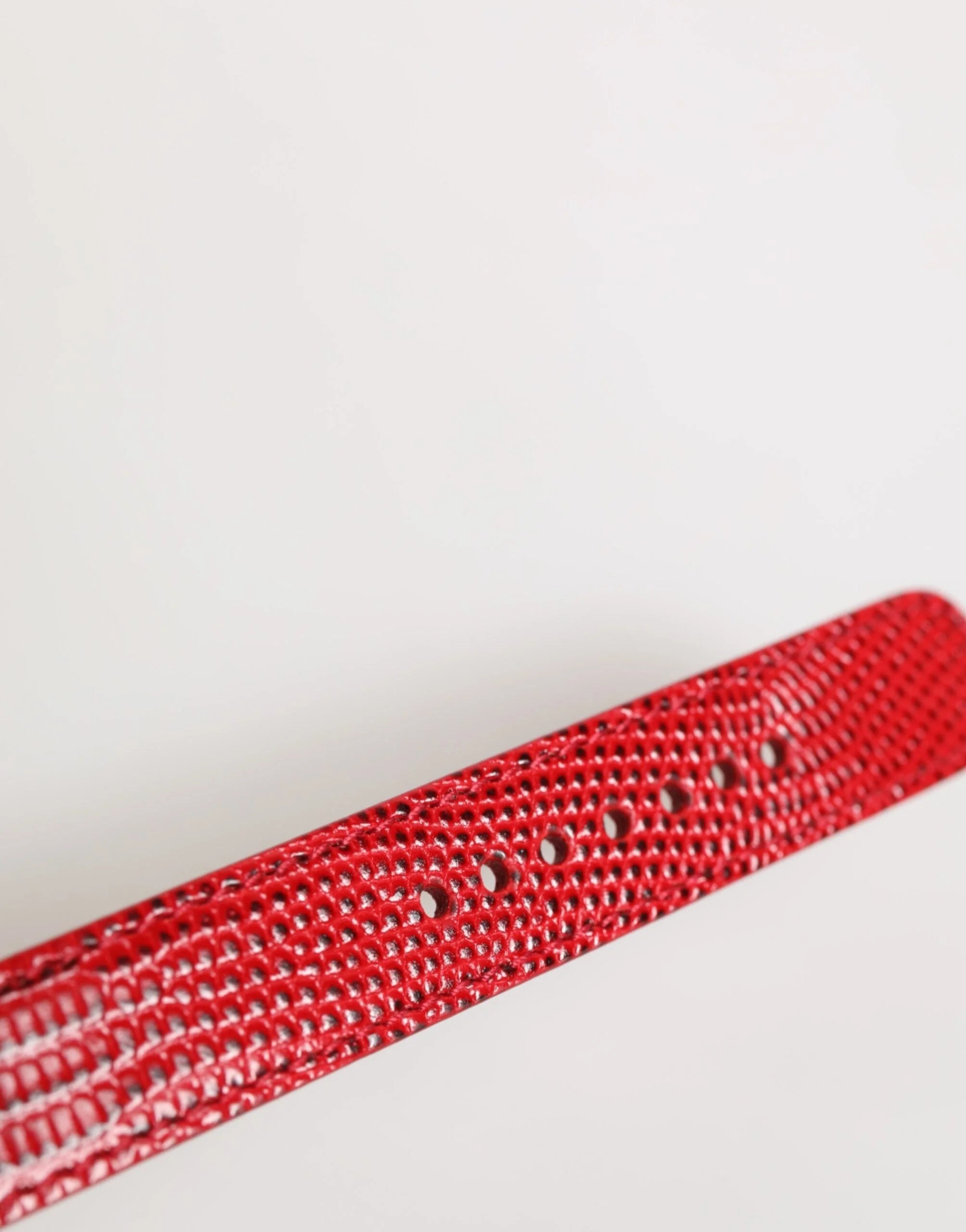 Dolce & Gabbana Red Exotic Leather Gold Tone Metal Buckle Women Armband - Bracelets