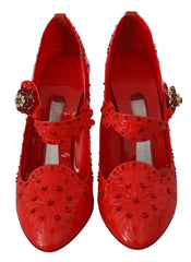 Dolce & Gabbana Red Floral Crystal CINDERELLA Heels Shoes - EU40/US9.5 - Heels