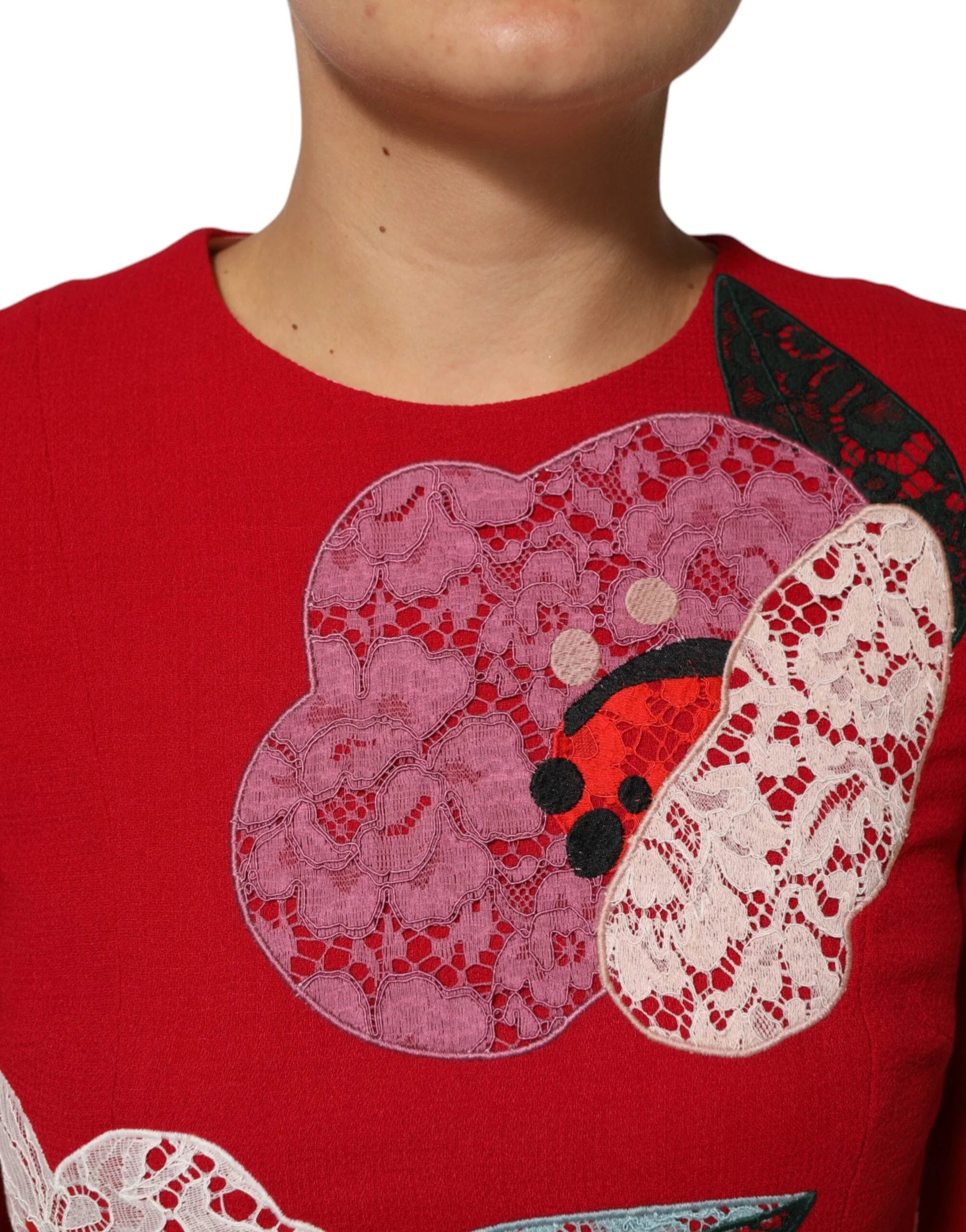 Dolce & Gabbana Red Lace Floral Applique A-line Mini Dress - Dresses