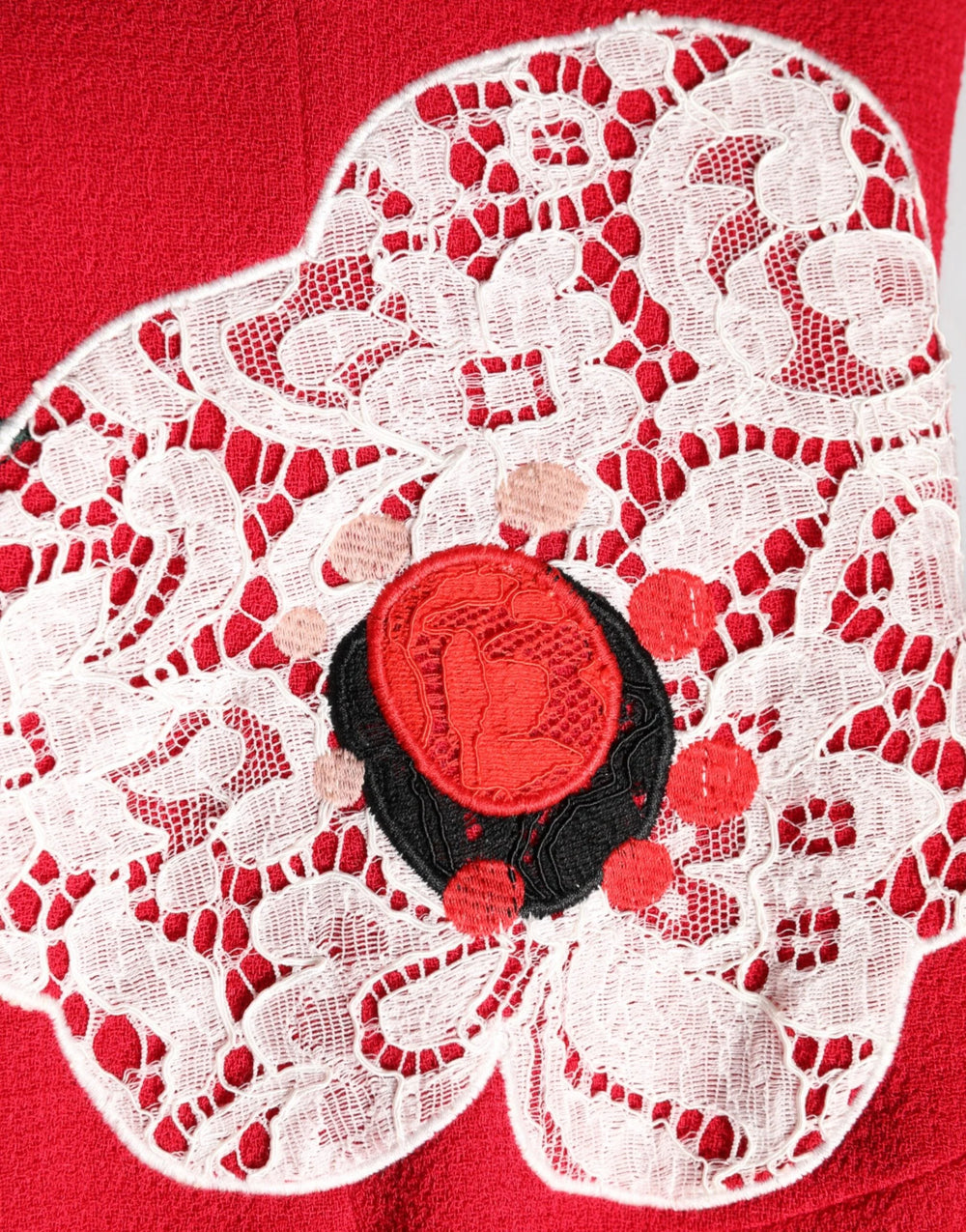 Dolce & Gabbana Red Lace Floral Applique A-line Mini Dress - Dresses