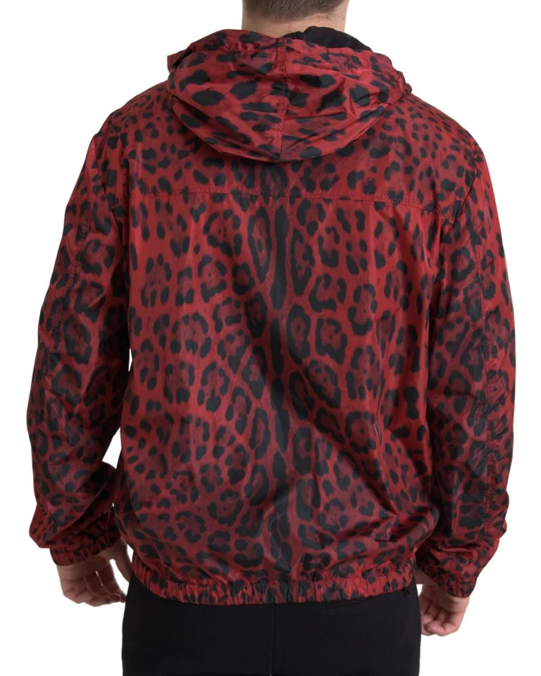 Dolce & Gabbana Red Leopard Hooded Bomber Full Zip Jacket - IT48 | M - Bomber Jackets
