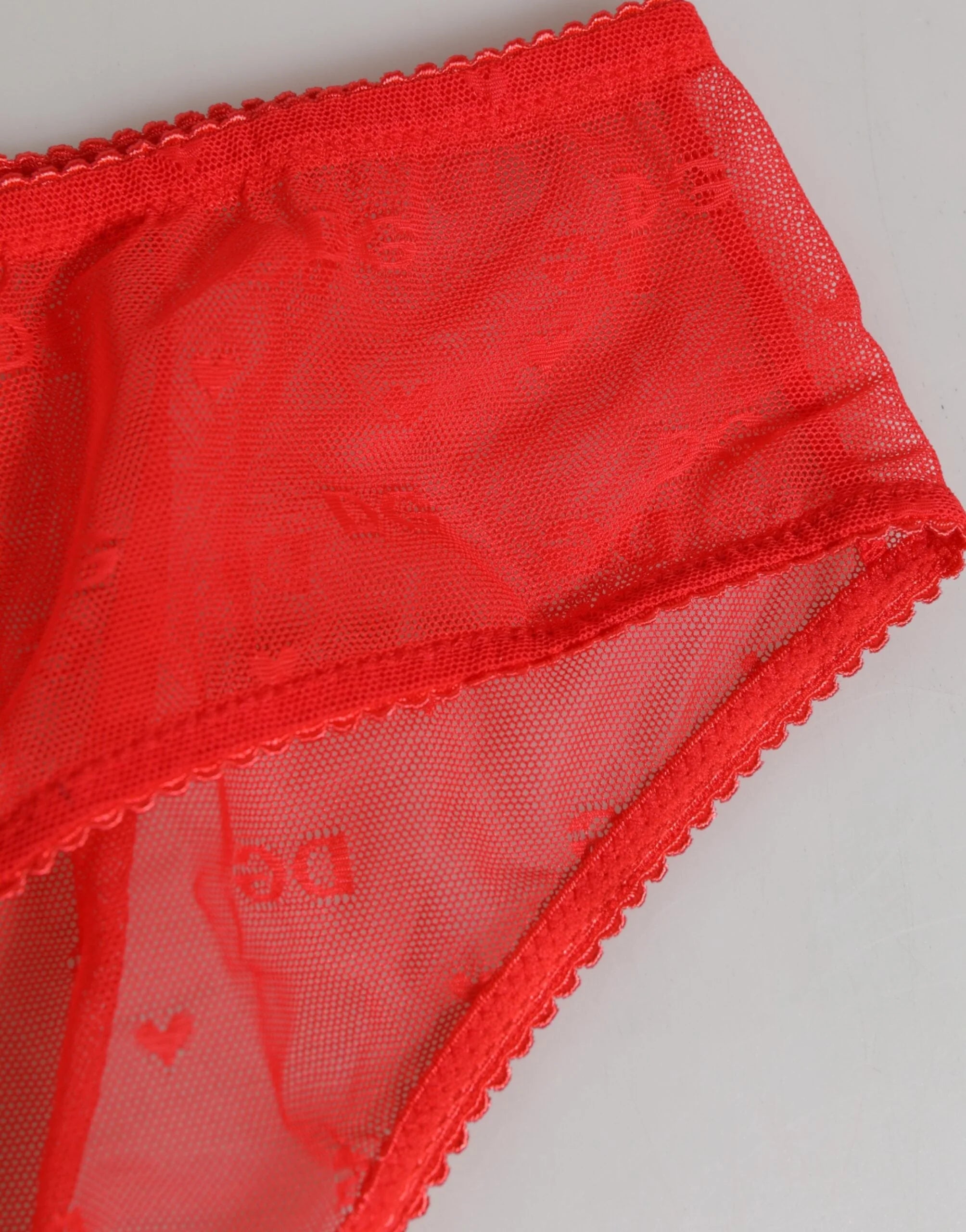 Dolce & Gabbana Red Nylon Sheer Mesh Lace Brief Panty Underwear - IT4 | L - Briefs
