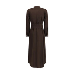 Ella Brown Silk Casual Dress