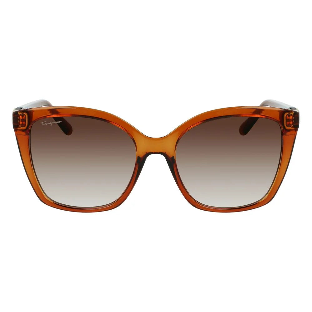 Ferragamo Brown Injected Sunglasses