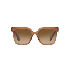 Giorgio Armani Brown Acetate Sunglasses