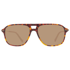 Hackett Brown Acetate Sunglasses - Sunglasses