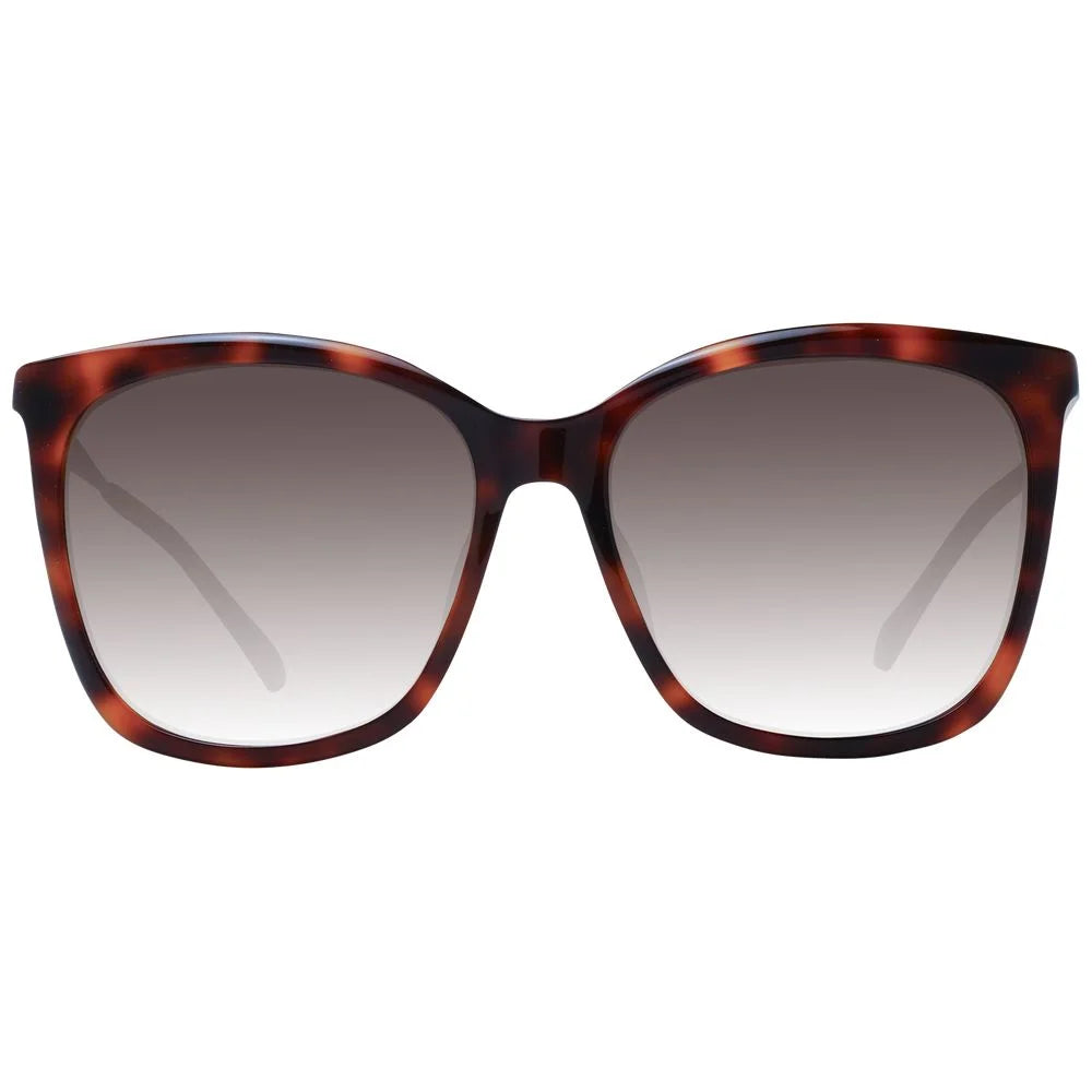 Jimmy Choo Brown Women Sunglasses - Sunglasses