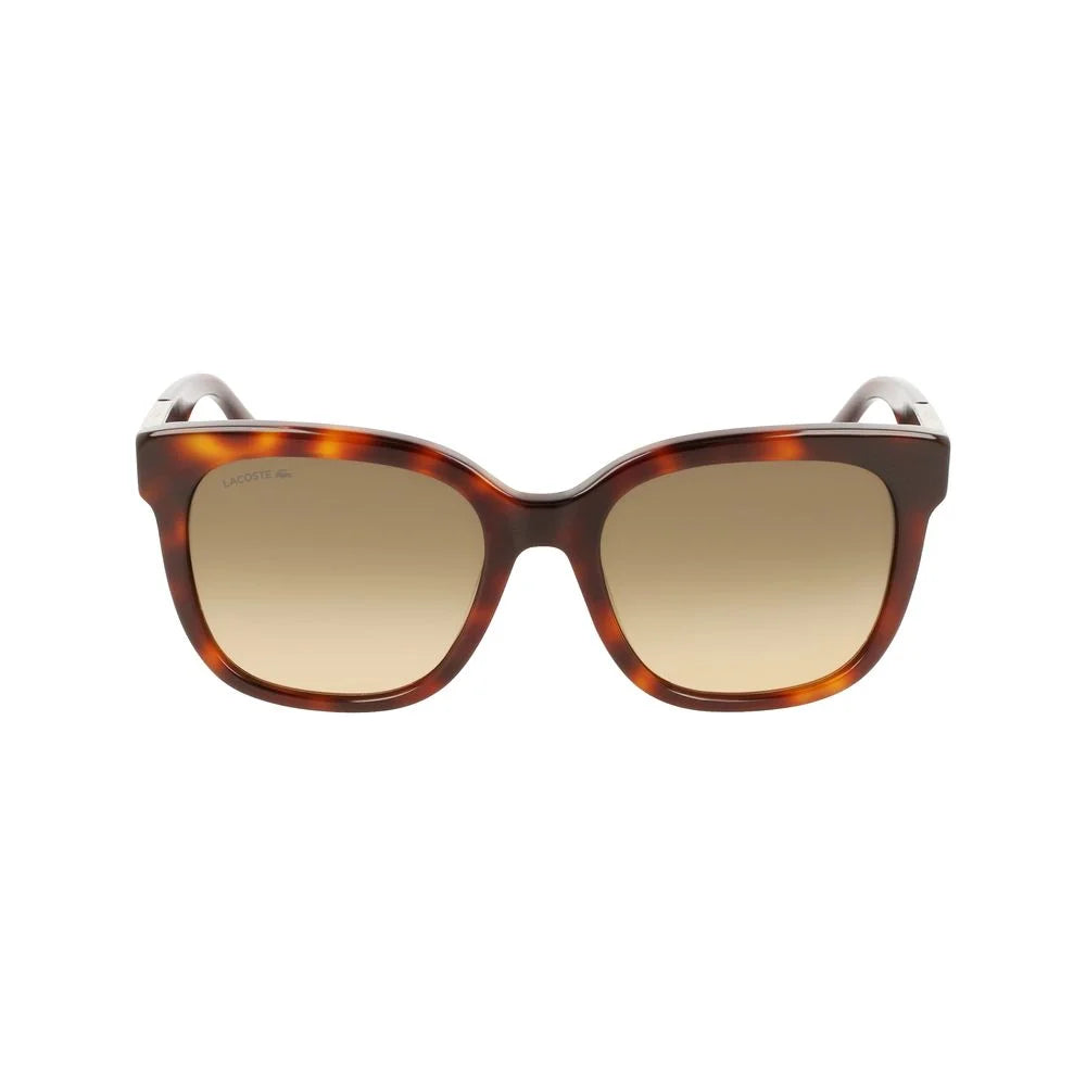 Lacoste Brown Acetate Sunglasses - Sunglasses