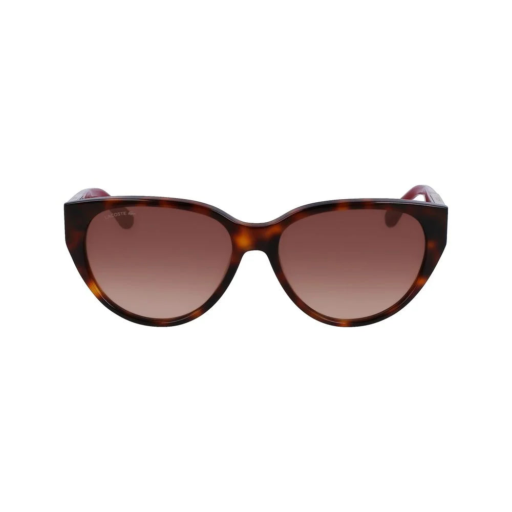 Lacoste Brown Acetate Sunglasses - Sunglasses