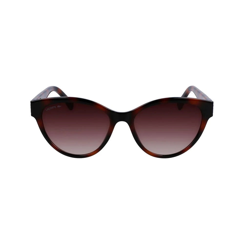 Lacoste Brown Injected Sunglasses - Sunglasses