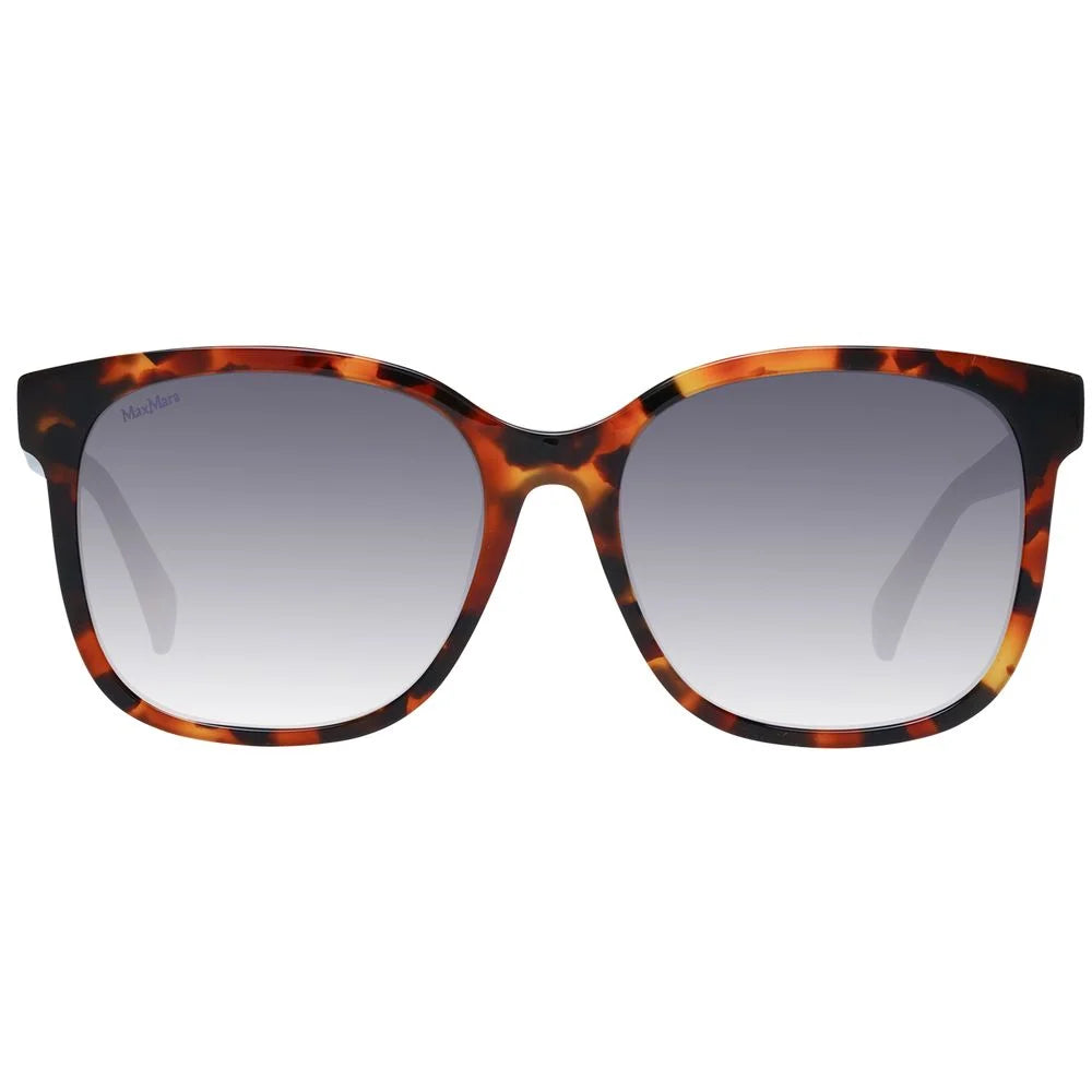 Max Mara Brown Acetate Sunglasses