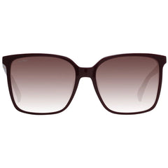 Max Mara Burgundy Plastic Sunglasses