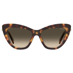 Moschino Brown Acetate Sunglasses - Sunglasses