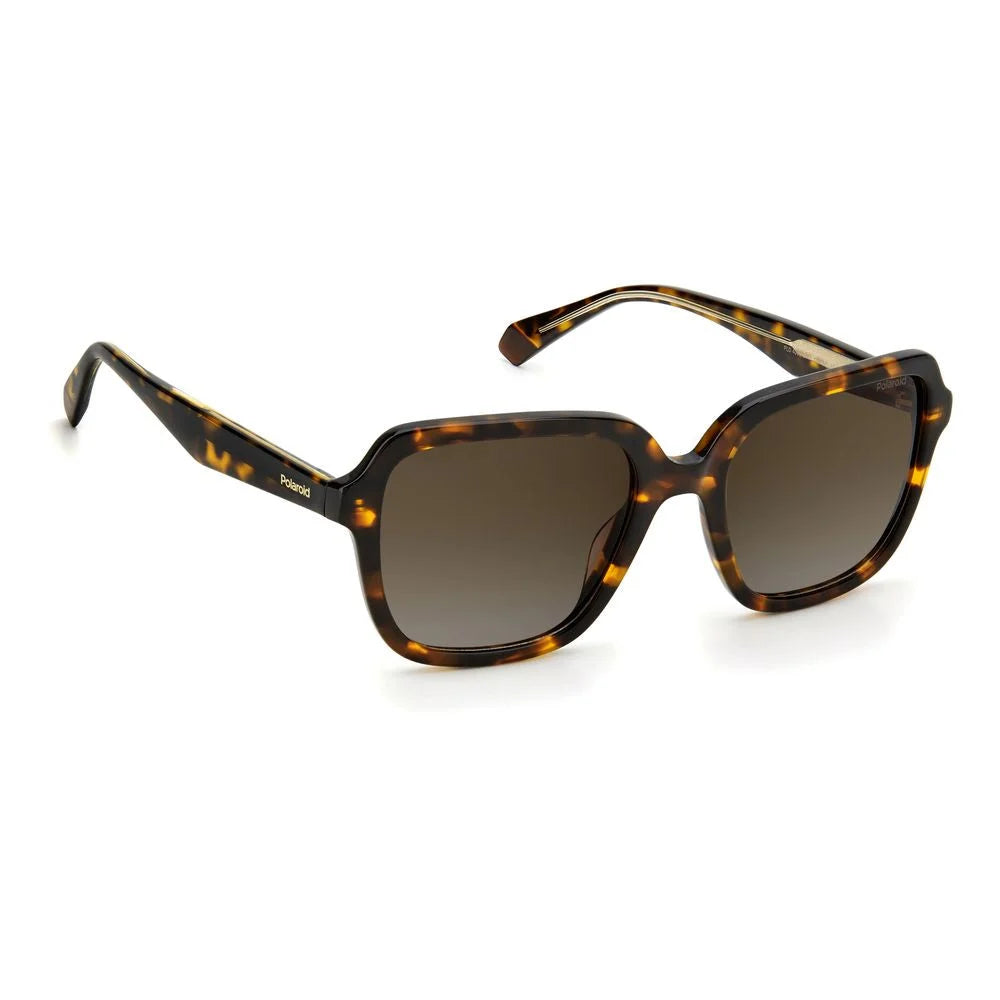 Polaroid Brown Acetate Sunglasses - Sunglasses