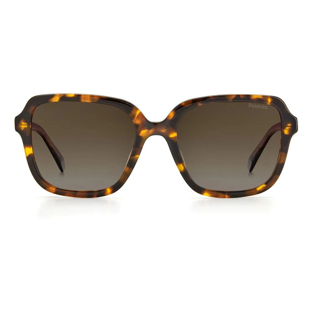 Polaroid Brown Acetate Sunglasses