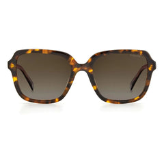 Polaroid Brown Acetate Sunglasses