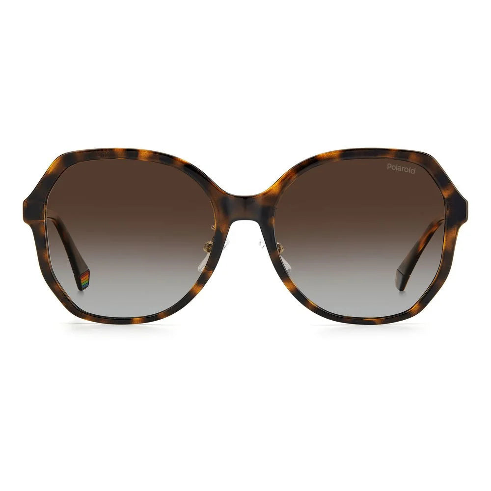 Polaroid Brown Plastic Sunglasses